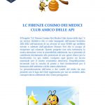 Anteprima